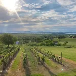 아파트 Wine & Space At Balaton 발라톤엘