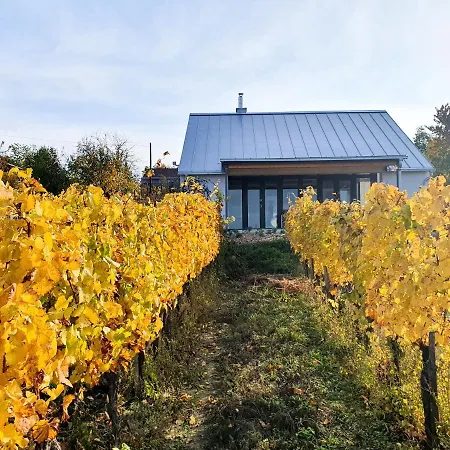 Wine & Space At Balaton