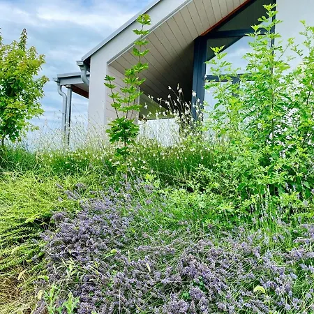 Wine & Space At Balaton 公寓