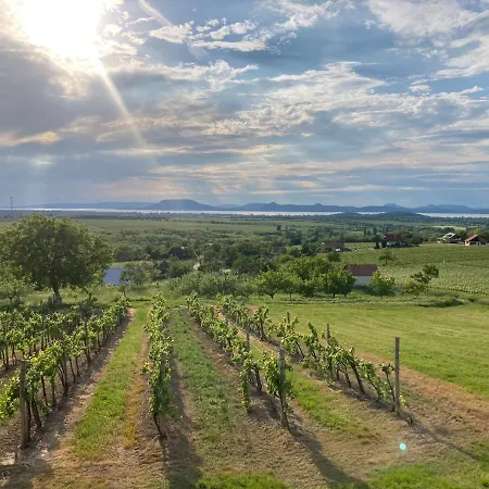 公寓 Wine & Space At Balaton 巴拉通雷勒