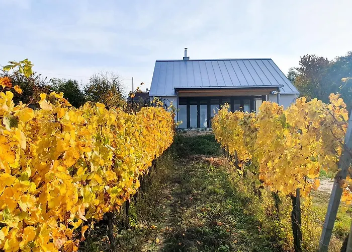 Wine & Space At Balaton