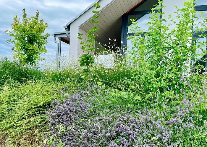 Wine & Space At Balaton Apartment