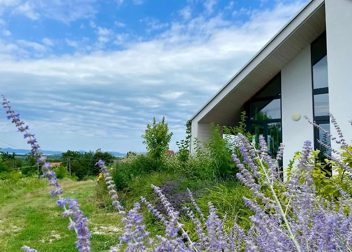 Wine & Space At Balaton