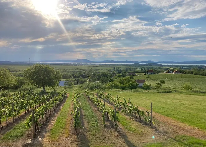 Apartment Wine & Space At Balaton Balatonlelle